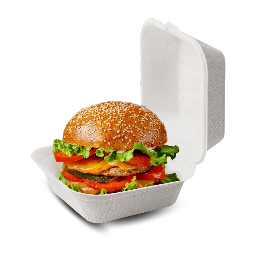 FIAMBRERA FOAM 6X6 PLASTIFAR 4/50